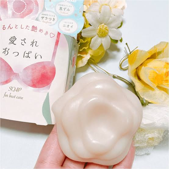 Pelican For Boobs Care Soap 70gr