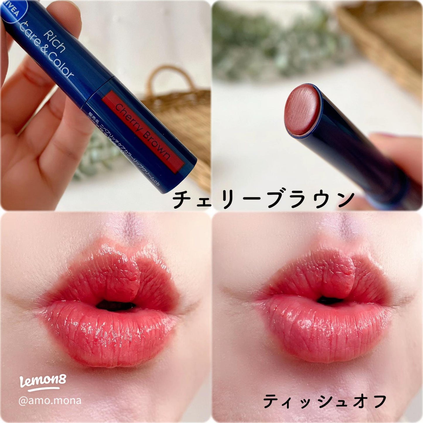 Nivea Rich Care & Color Lip Balm Spf22